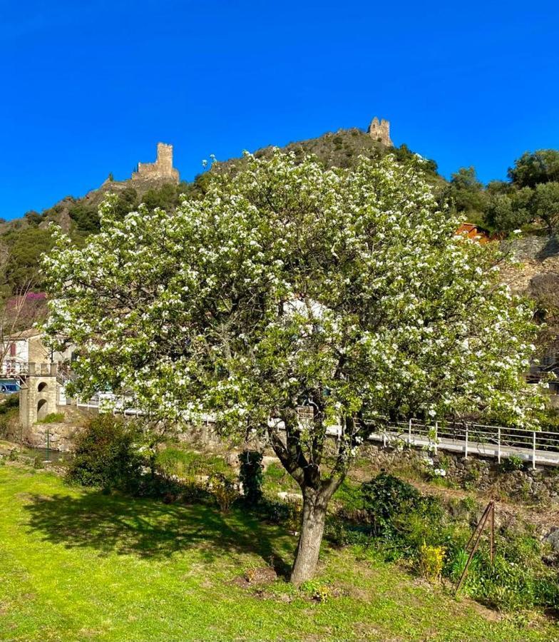 4 Star Cabaret Lastours 4 Chateaux Amazing Cathar Landmark Private Luxury 4 Star Air Conditioned Terrasse With Views Экстерьер фото